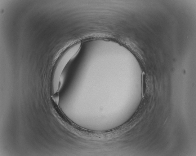 X0000081430015200702021704