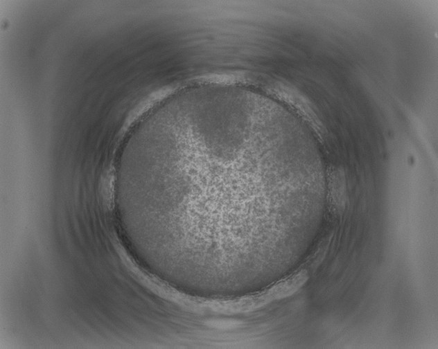 X0000081430016200702021704