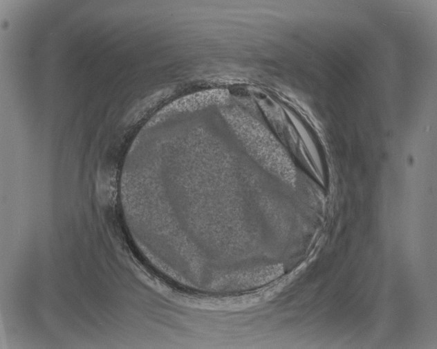 X0000081430017200702021704