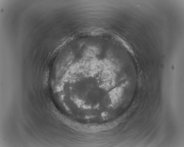 X0000081430018200702021704