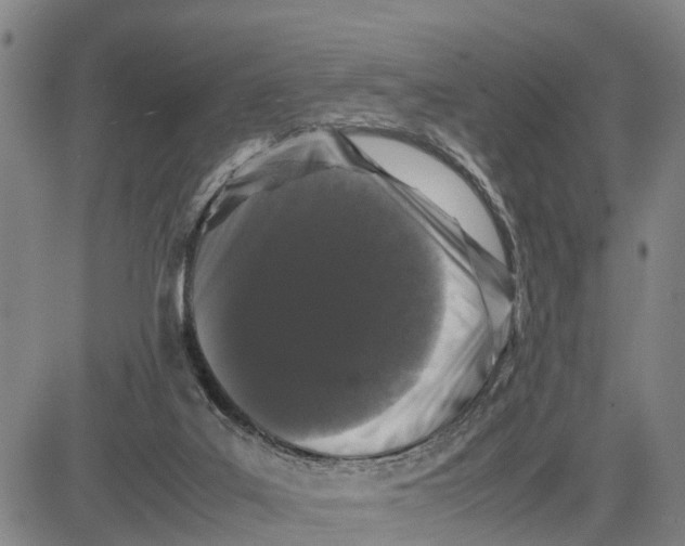 X0000081430019200702021704