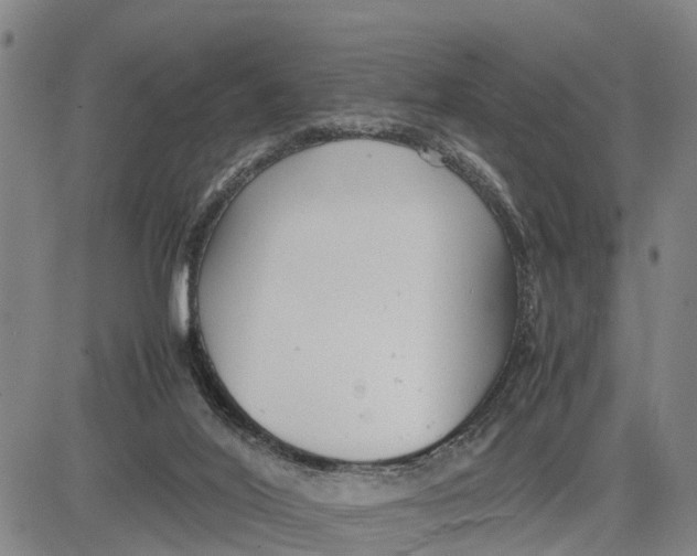 X0000081430020200702021704