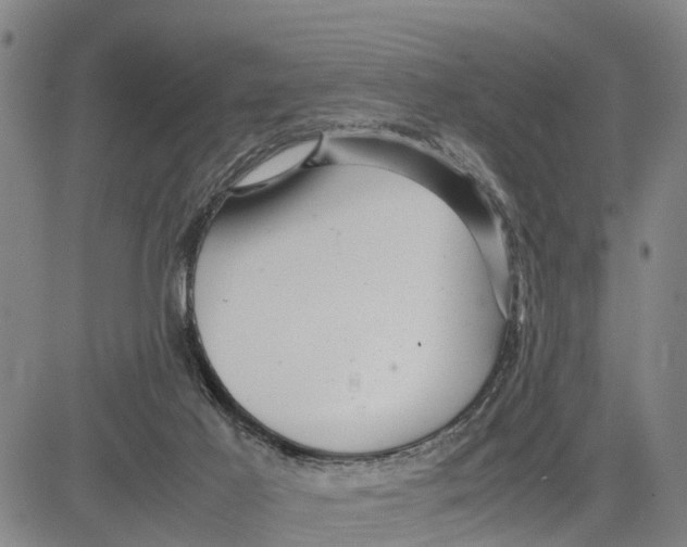 X0000081430021200702021704