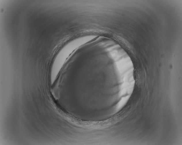 X0000081430023200702021704