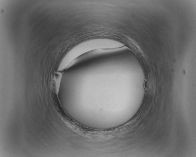 X0000081430025200702021703