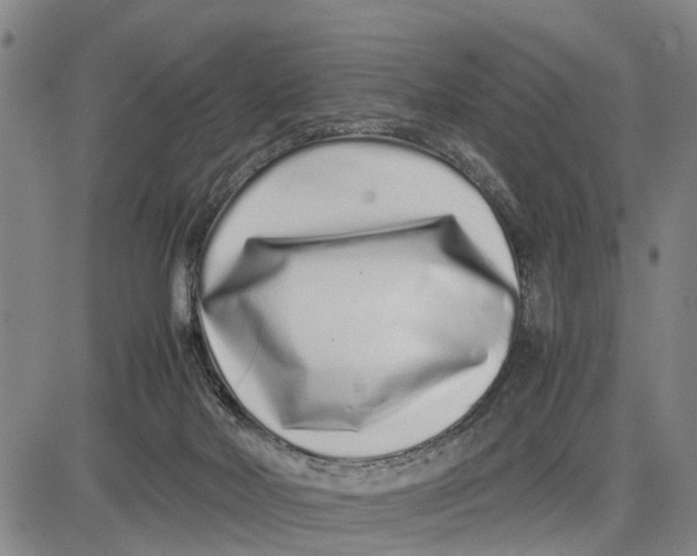 X0000081430026200702021703