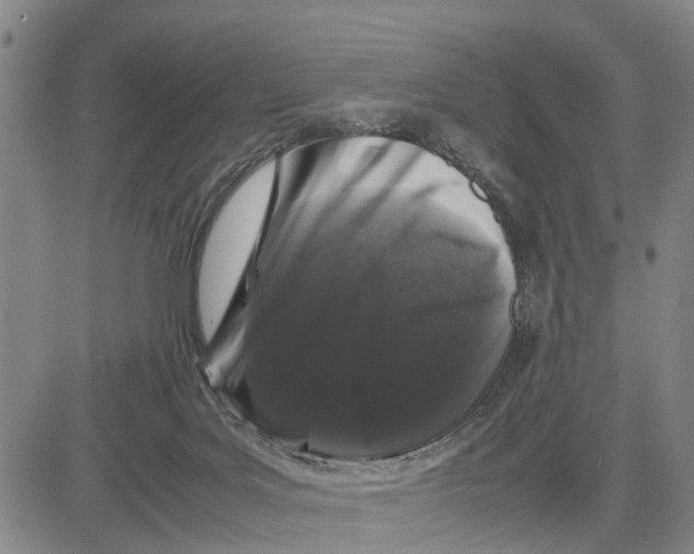 X0000081430027200702021703