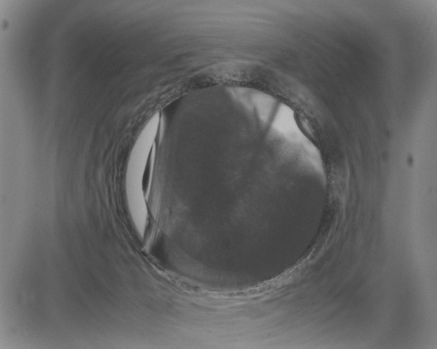 X0000081430029200702021703