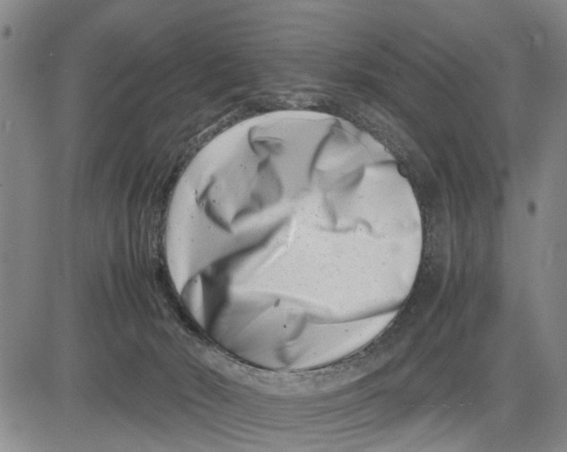 X0000081430030200702021703