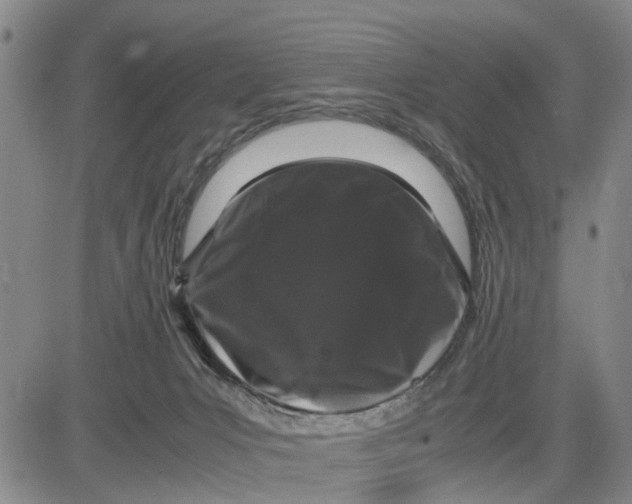 X0000081430031200702021703