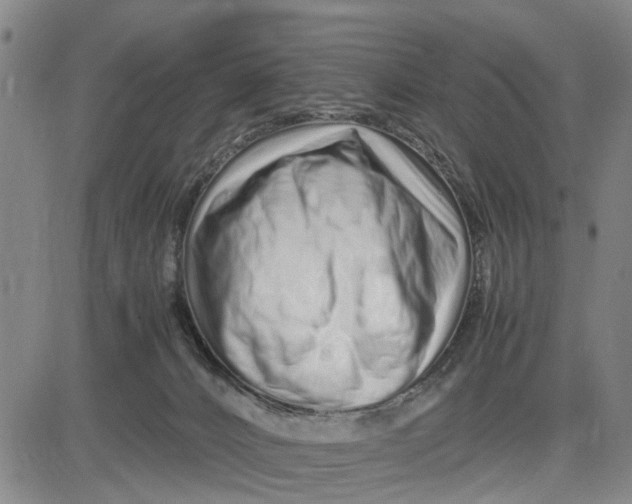 X0000081430032200702021703