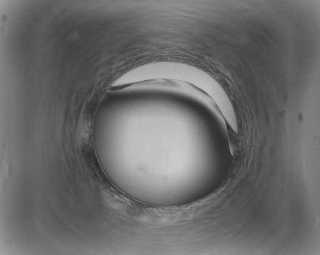 X0000081430033200702021703