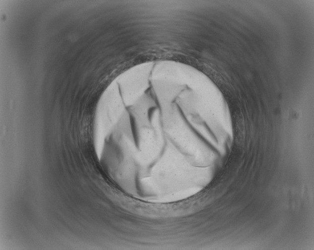 X0000081430034200702021703