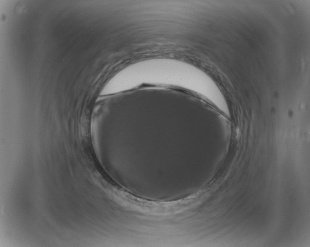 X0000081430035200702021703