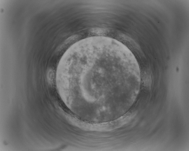 X0000081430036200702021703