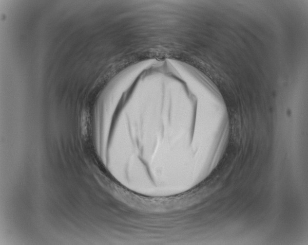 X0000081430038200702021703