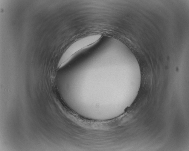 X0000081430040200702021703