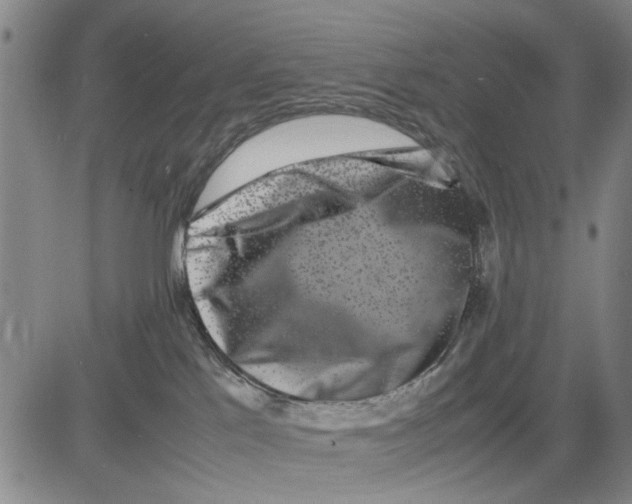 X0000081430041200702021703