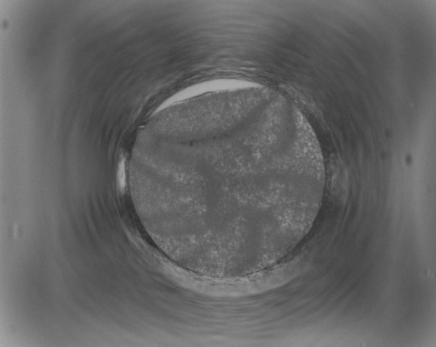 X0000081430042200702021703