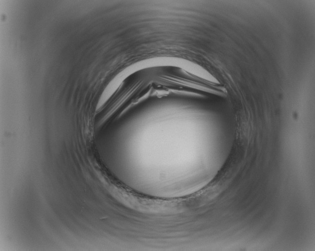 X0000081430044200702021703