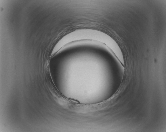 X0000081430045200702021703