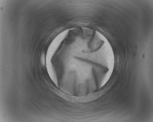 X0000081430046200702021703