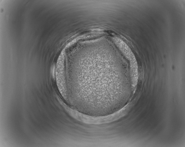 X0000081430047200702021703