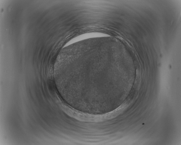 X0000081430048200702021703