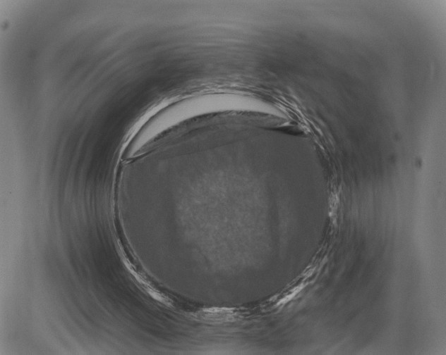 X0000081430052200702021702