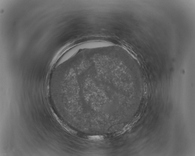 X0000081430053200702021702