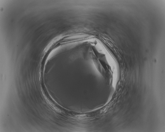 X0000081430054200702021702