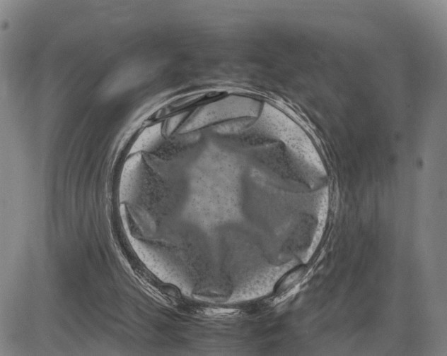 X0000081430055200702021702