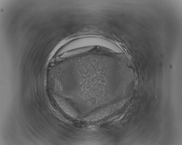 X0000081430056200702021702