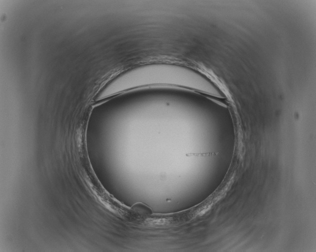 X0000081430057200702021702