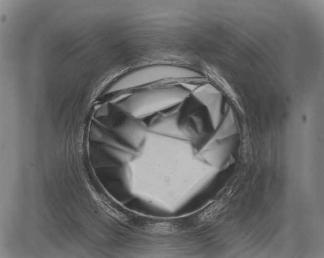 X0000081430058200702021702