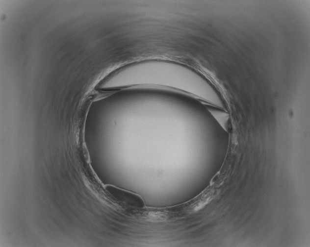 X0000081430060200702021703