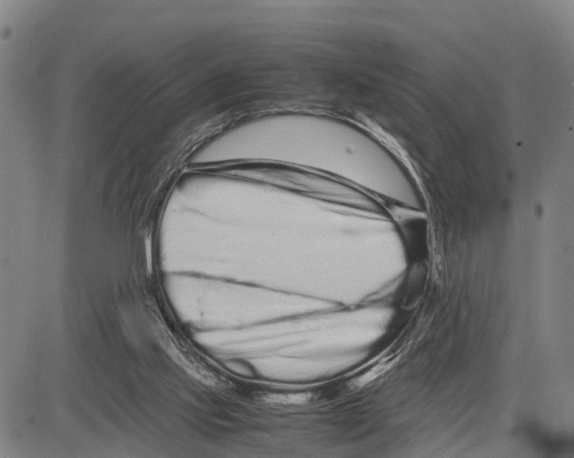 X0000081430061200702021703