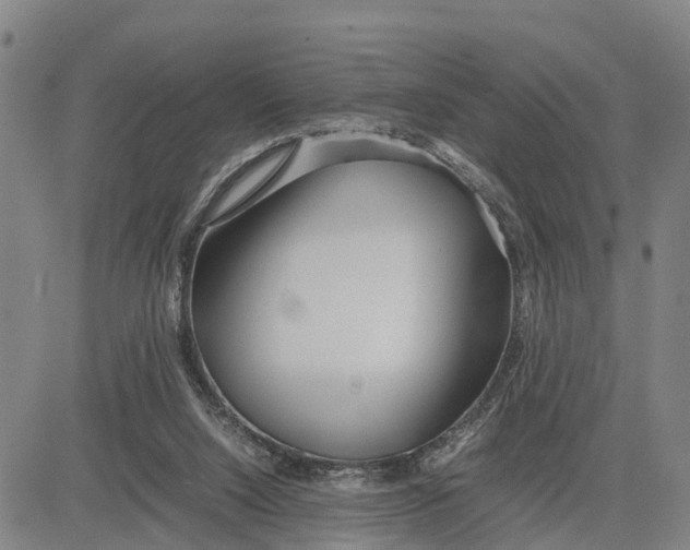 X0000081430064200702021703