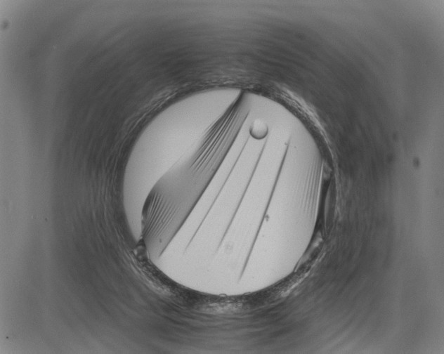 X0000081430065200702021703