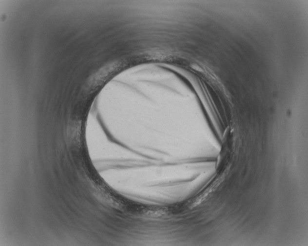 X0000081430066200702021703