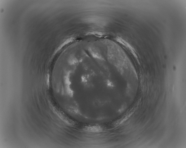 X0000081430067200702021703