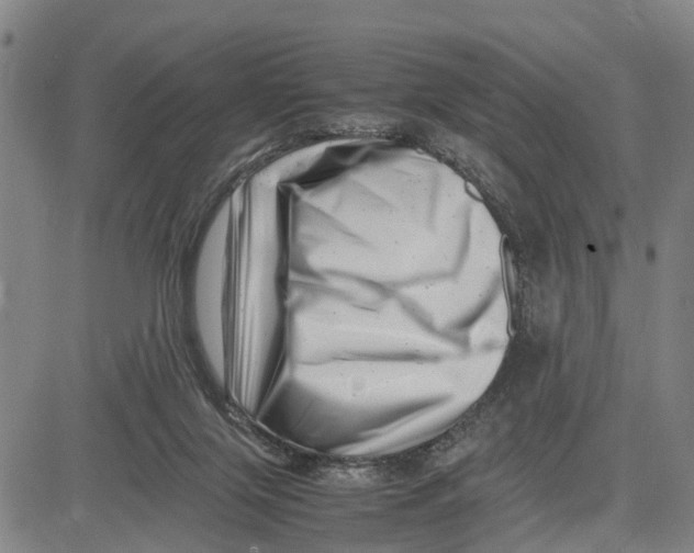 X0000081430071200702021703