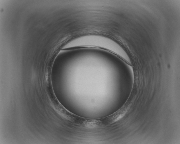 X0000081430072200702021703