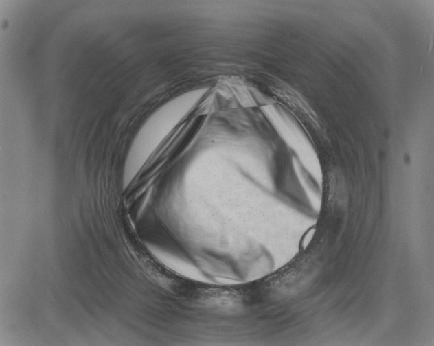 X0000081430073200702021703