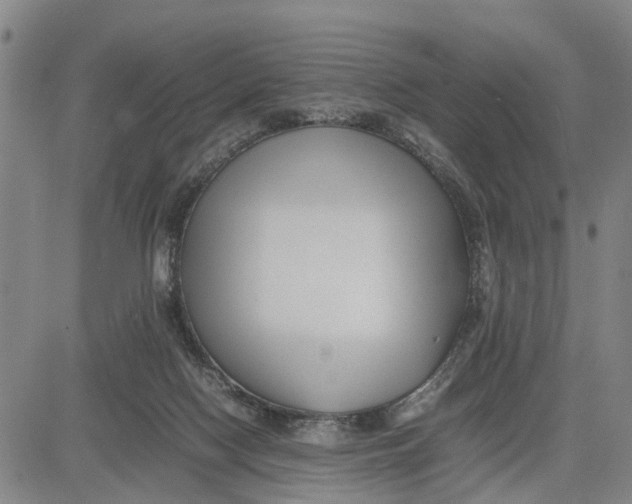 X0000081430074200702021703