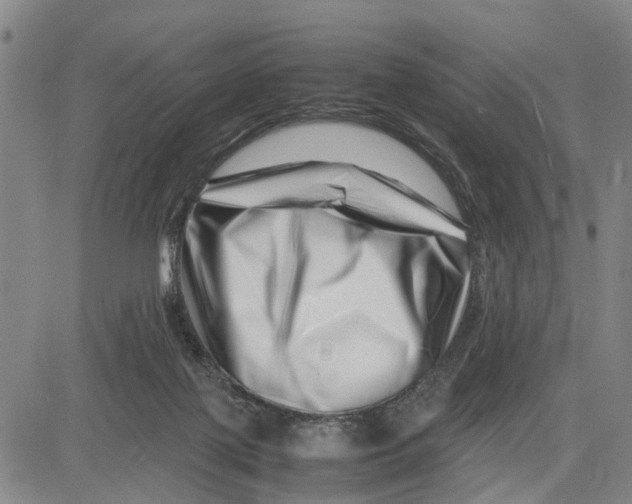 X0000081430075200702021703