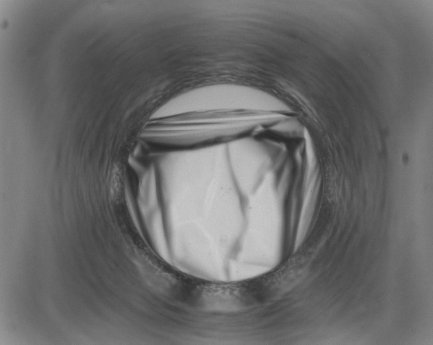 X0000081430077200702021703