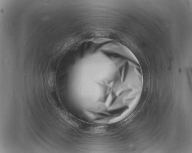 X0000081430078200702021703