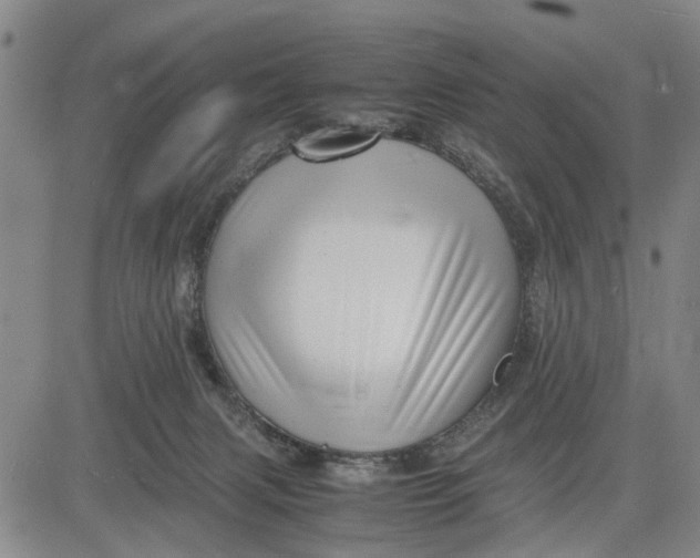 X0000081430079200702021703