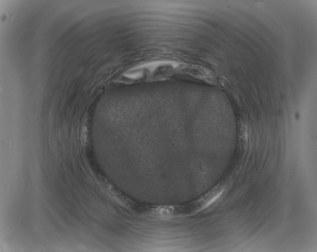 X0000081430080200702021703